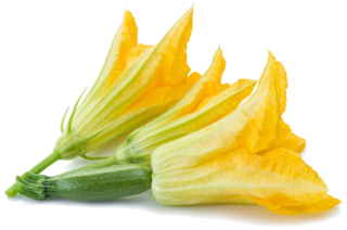 Image de fleur de courgette