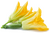 Image de fleur de courgette