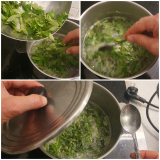 Sorbet à la verveine fraîche - Instruction 3