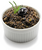 Image de tapenade