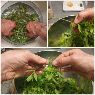 Sorbet à la verveine fraîche - Instruction 0