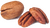 noix de pécan