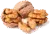 Image de cerneau de noix