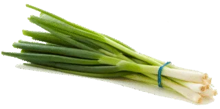 Image de oignon vert
