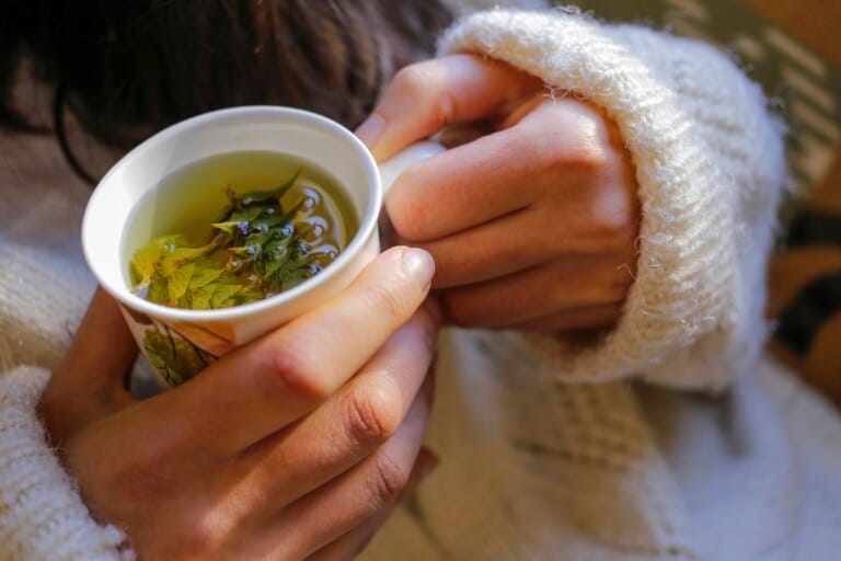 Les meilleures infusions pour renforcer son système immunitaire en hiver