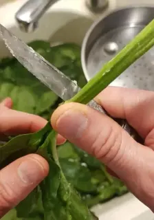 Samosa aux épinards Samosa aux épinards