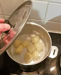 Samosa aux épinards Samosa aux épinards