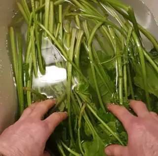 Gâteau d’épinards