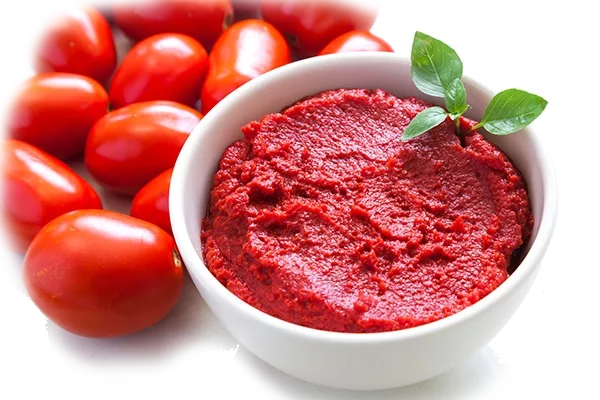 Le concentré de tomate en cuisine : origines, diététique et préparation Le concentré de tomate en cuisine : origines, diététique et préparation