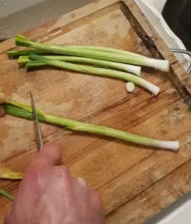 Omelette à l’aillet