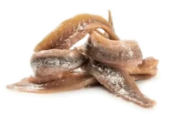 Anchois à l'huile