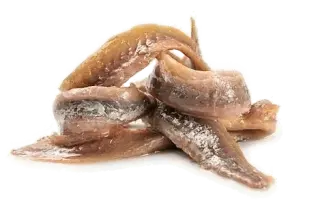 Les anchois à l’huile en cuisine : origines, diététique et préparation