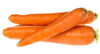 Carottes
