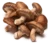 Champignons