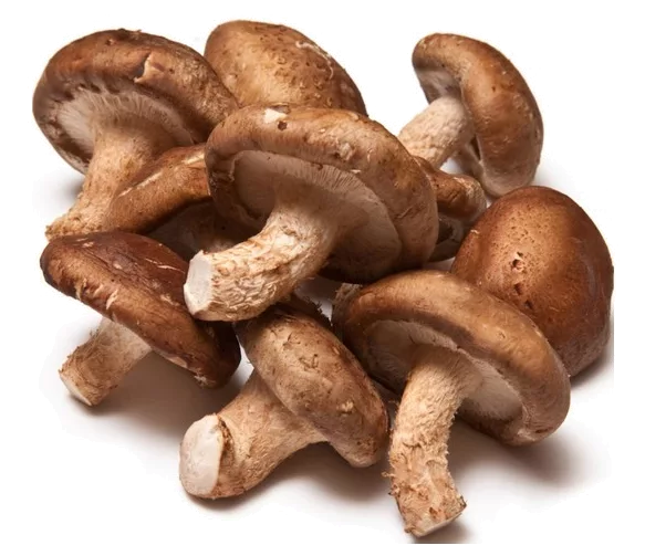 Champignon Shiitake