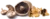 champignon