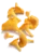 Image de chanterelle jaune
