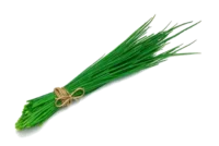 Ciboulette