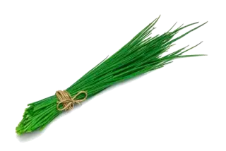ciboulette