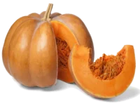 Courge Muscade