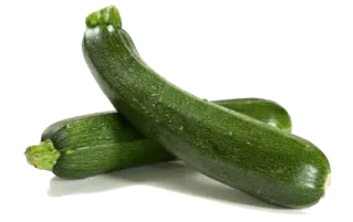courgette