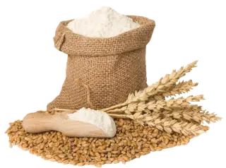 La farine de blé complète en cuisine : origines, diététique et préparation