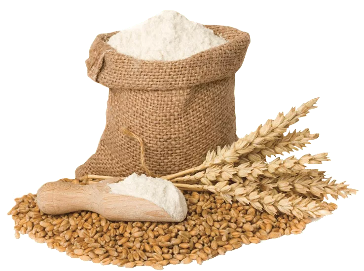La farine de blé complète en cuisine : origines, diététique et préparation La farine de blé complète en cuisine : origines, diététique et préparation