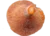 champignon Sanguin