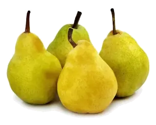 poire Williams
