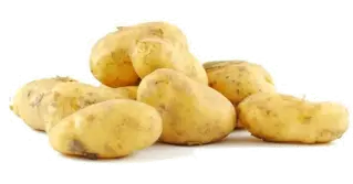 La pomme de terre nouvelle en cuisine : saison, diététique et préparation La pomme de terre nouvelle en cuisine : saison, diététique et préparation