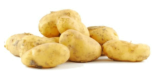 La pomme de terre nouvelle en cuisine : saison, diététique et préparation La pomme de terre nouvelle en cuisine : saison, diététique et préparation