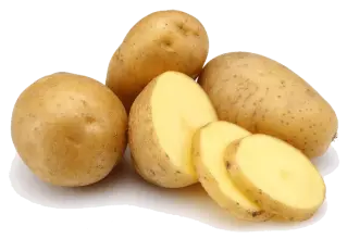 La pomme de terre bintje en cuisine : saison, diététique et préparation