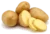 pomme de terre Bintje