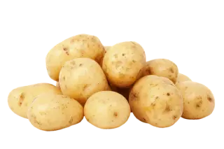 pomme de terre