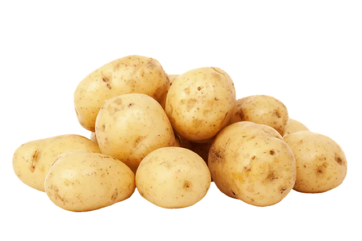 pomme de terre