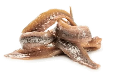 Anchois à l'huile