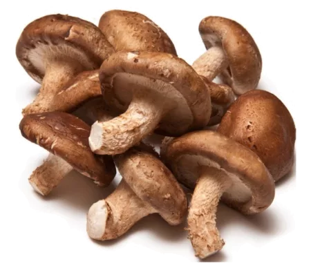 Champignon Shiitake