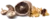 champignon