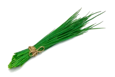 Ciboulette