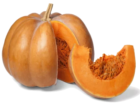 Courge Muscade