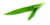 pandan