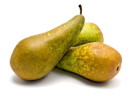 Poire Conférence