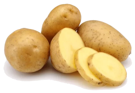 Pomme de terre Bintje